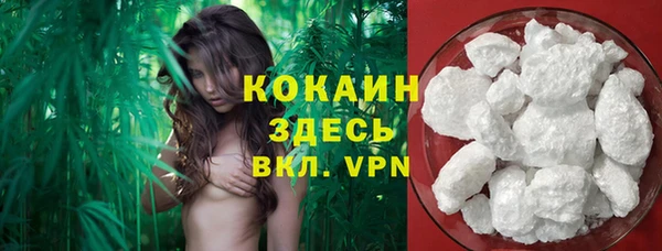 скорость Алзамай