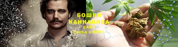 ALPHA PVP Алексин